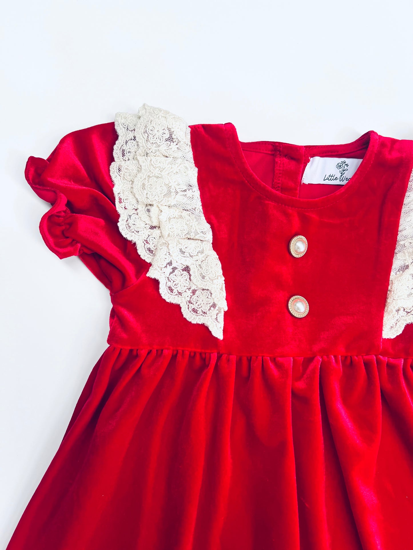 Red Vintage Velour Lace Dress